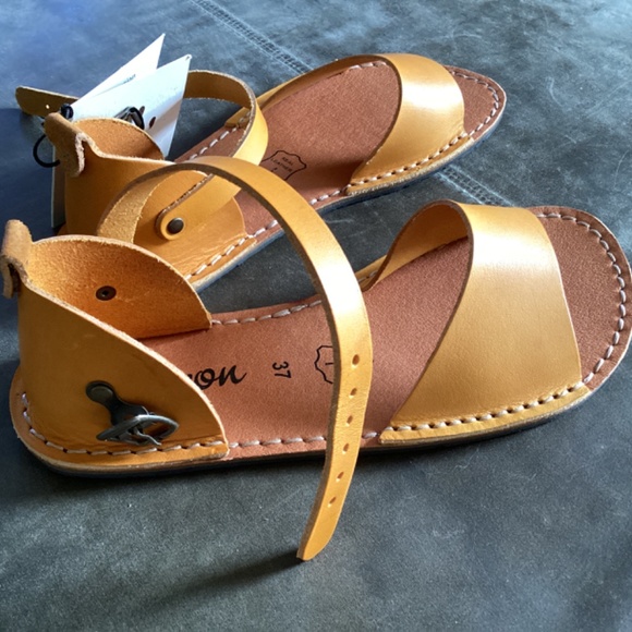 NWT Crupon Febo 37 - Picture 4 of 5